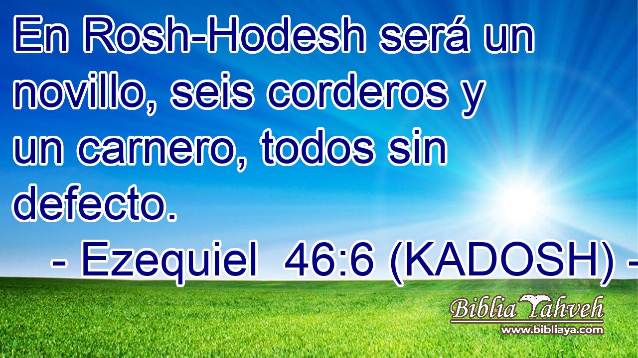  En Rosh-Hodesh será un novillo, seis corderos y un carnero, todos sin defecto. 