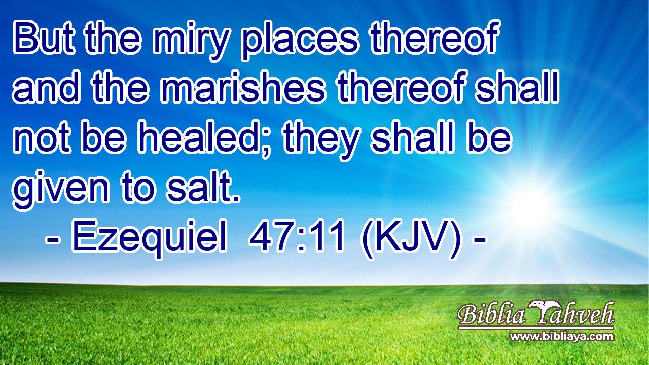 But the miry places thereof and the marishes thereof shall not be healed; they shall be given to salt.