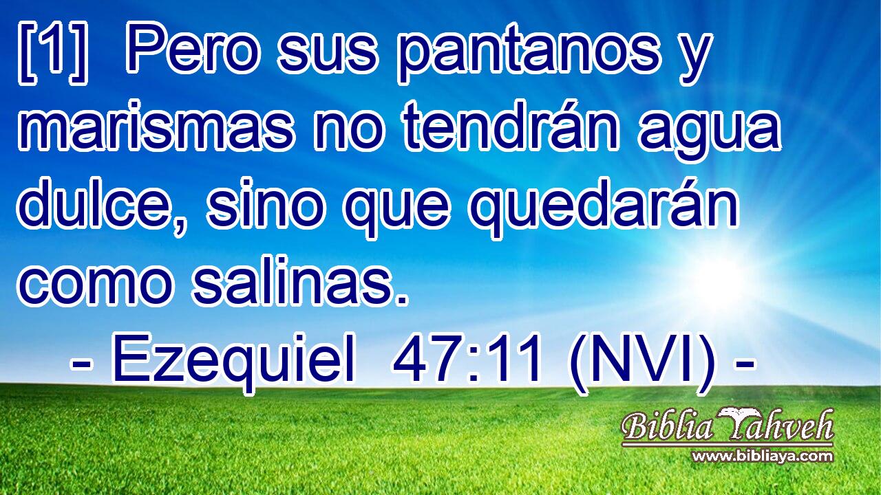  [1]  Pero sus pantanos y marismas no tendrán agua dulce, sino que quedarán como salinas. 