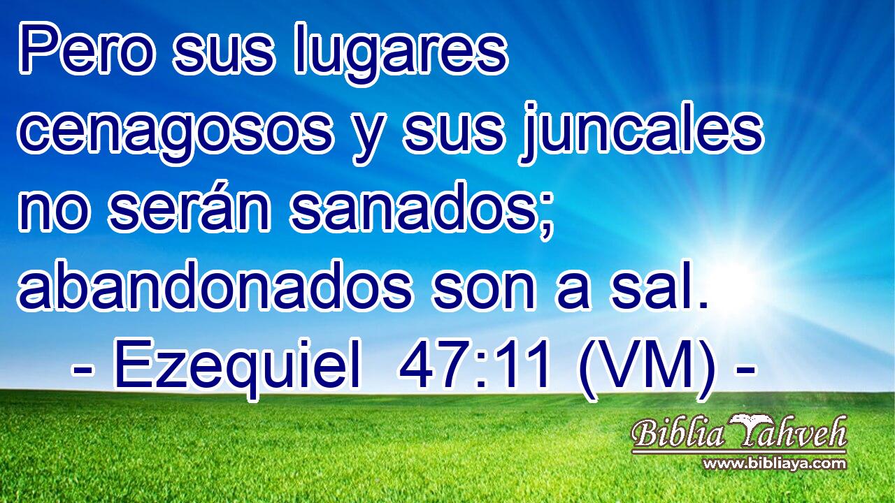  Pero sus lugares cenagosos y sus juncales no serán sanados; abandonados son a sal. 
