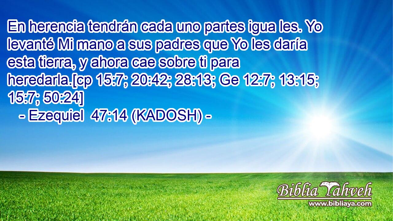  En herencia tendrán cada uno partes igua les. Yo levanté Mi mano a sus padres que Yo les daría esta tierra, y ahora cae sobre ti para heredarla.[cp 15:7; 20:42; 28:13; Ge 12:7; 13:15; 15:7; 50:24] 