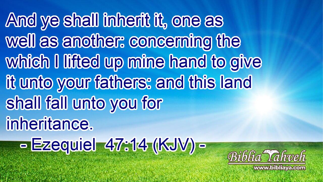 And ye shall inherit it, one as well as another: concerning the which I lifted up mine hand to give it unto your fathers: and this land shall fall unto you for inheritance.