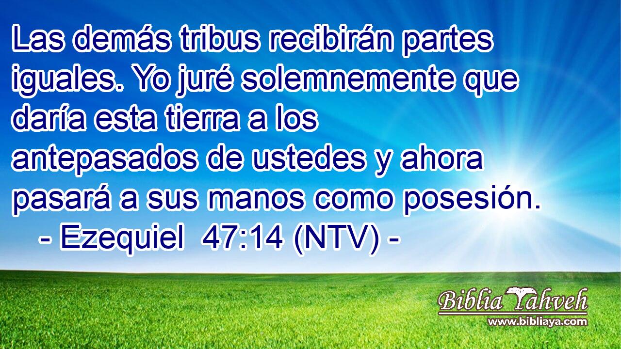 Las demás tribus recibirán partes iguales. Yo juré solemnemente que daría esta tierra a los antepasados de ustedes y ahora pasará a sus manos como posesión.