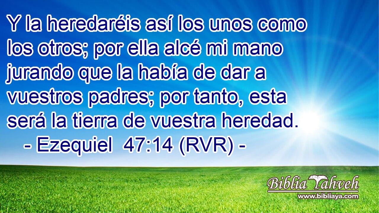 Y la heredaréis así los unos como los otros; por ella alcé mi mano jurando que la había de dar a vuestros padres; por tanto, esta será la tierra de vuestra heredad.