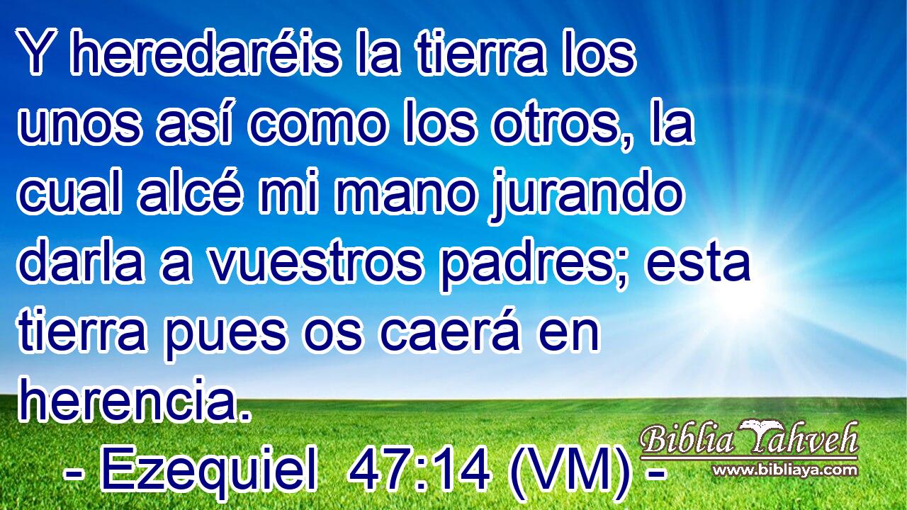  Y heredaréis la tierra los unos así como los otros, la cual alcé mi mano jurando darla a vuestros padres; esta tierra pues os caerá en herencia. 