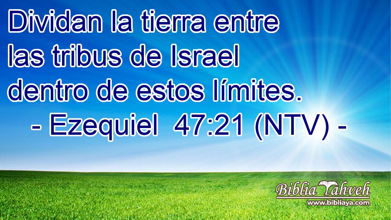 Dividan la tierra entre las tribus de Israel dentro de estos límites.