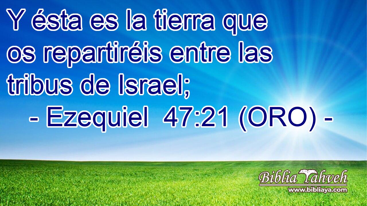  Y ésta es la tierra que os repartiréis entre las tribus de Israel; 