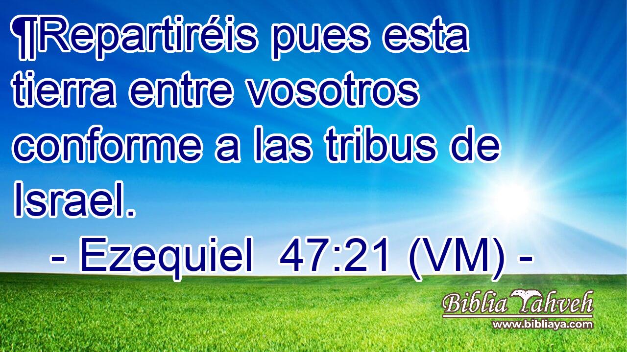  ¶Repartiréis pues esta tierra entre vosotros conforme a las tribus de Israel. 