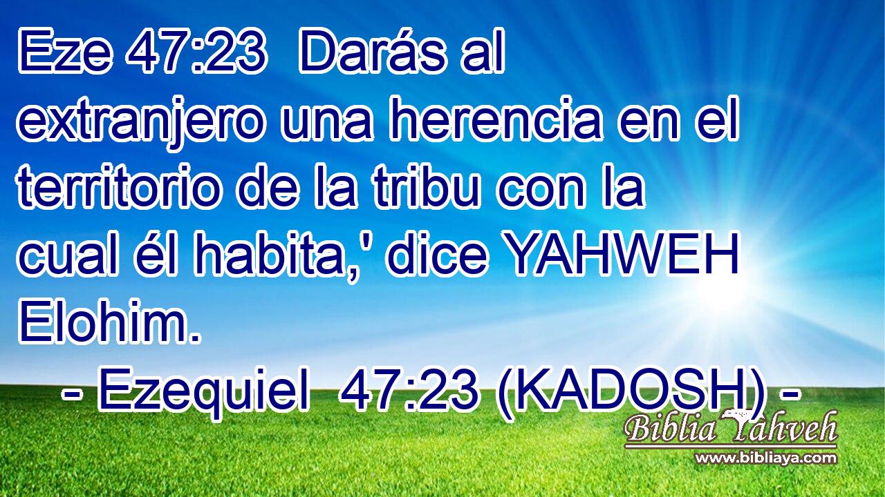  Darás al extranjero una herencia en el territorio de la tribu con la cual él habita,' dice YAHWEH Elohim. 