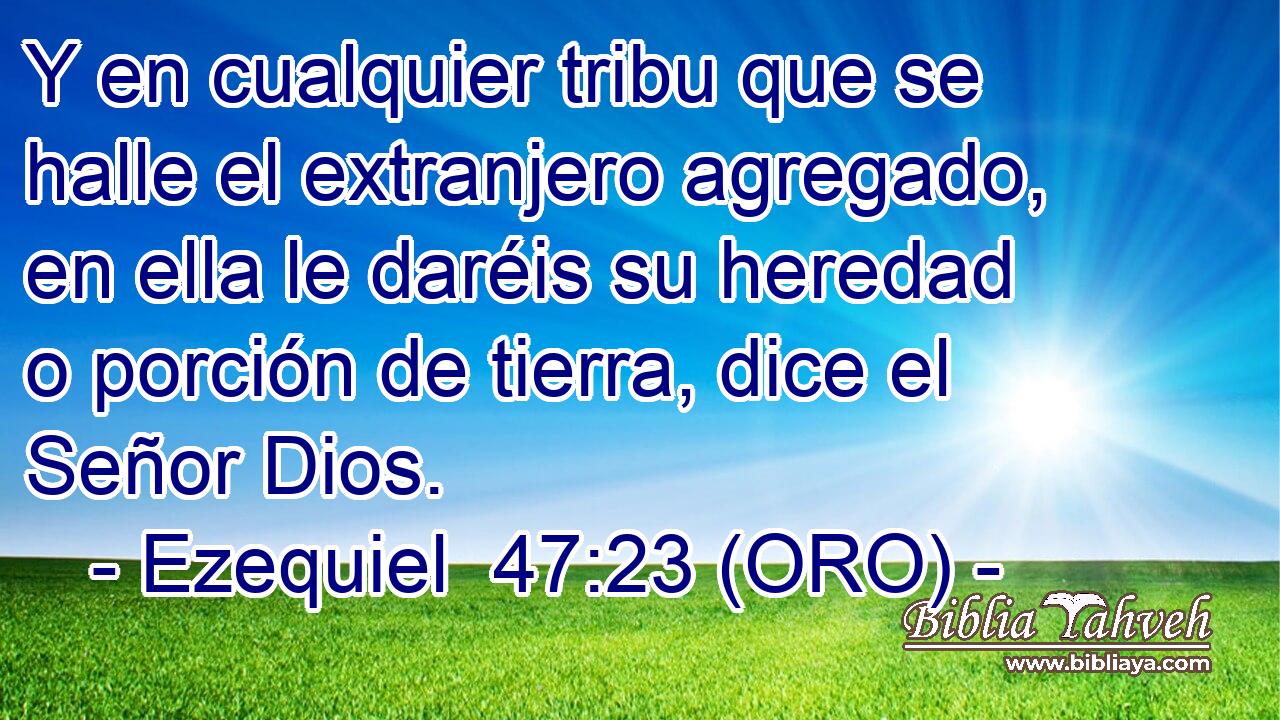  Y en cualquier tribu que se halle el extranjero agregado, en ella le daréis su heredad o porción de tierra, dice el Señor Dios. 