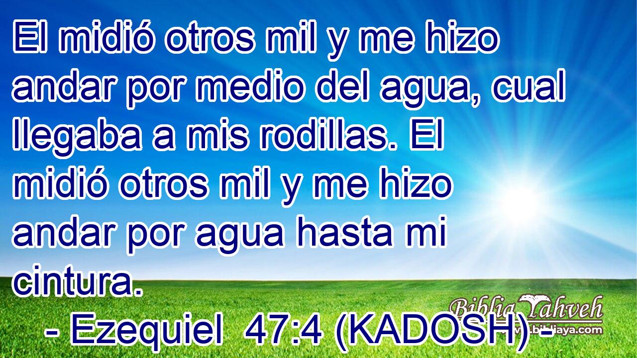 El midió otros mil y me hizo andar por medio del agua, cual llegaba a mis rodillas. El midió otros mil y me hizo andar por agua hasta mi cintura. 