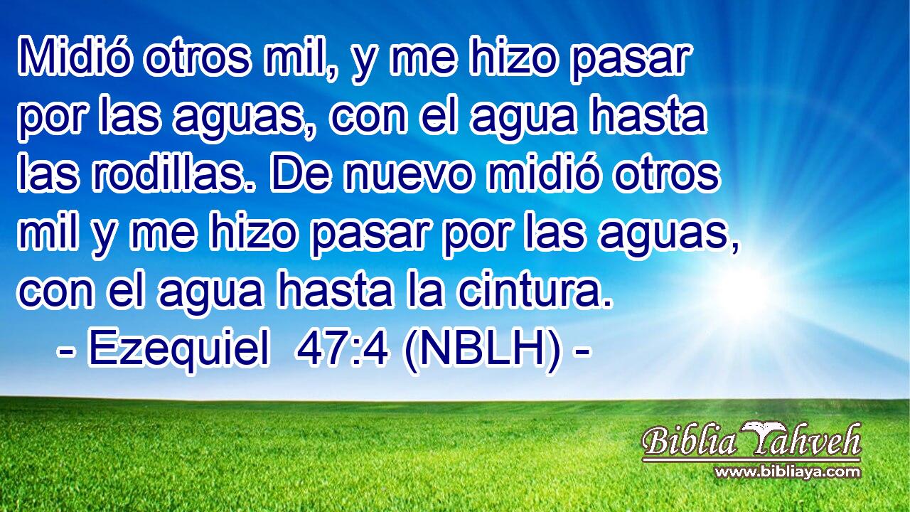  Midió otros mil, y me hizo pasar por las aguas, con el agua hasta las rodillas. De nuevo midió otros mil y me hizo pasar por las aguas, con el agua hasta la cintura. 