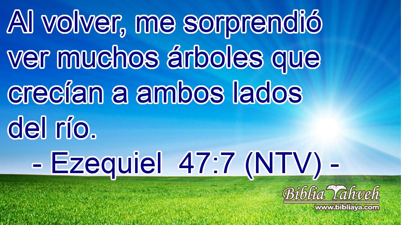 Al volver, me sorprendió ver muchos árboles que crecían a ambos lados del río.
