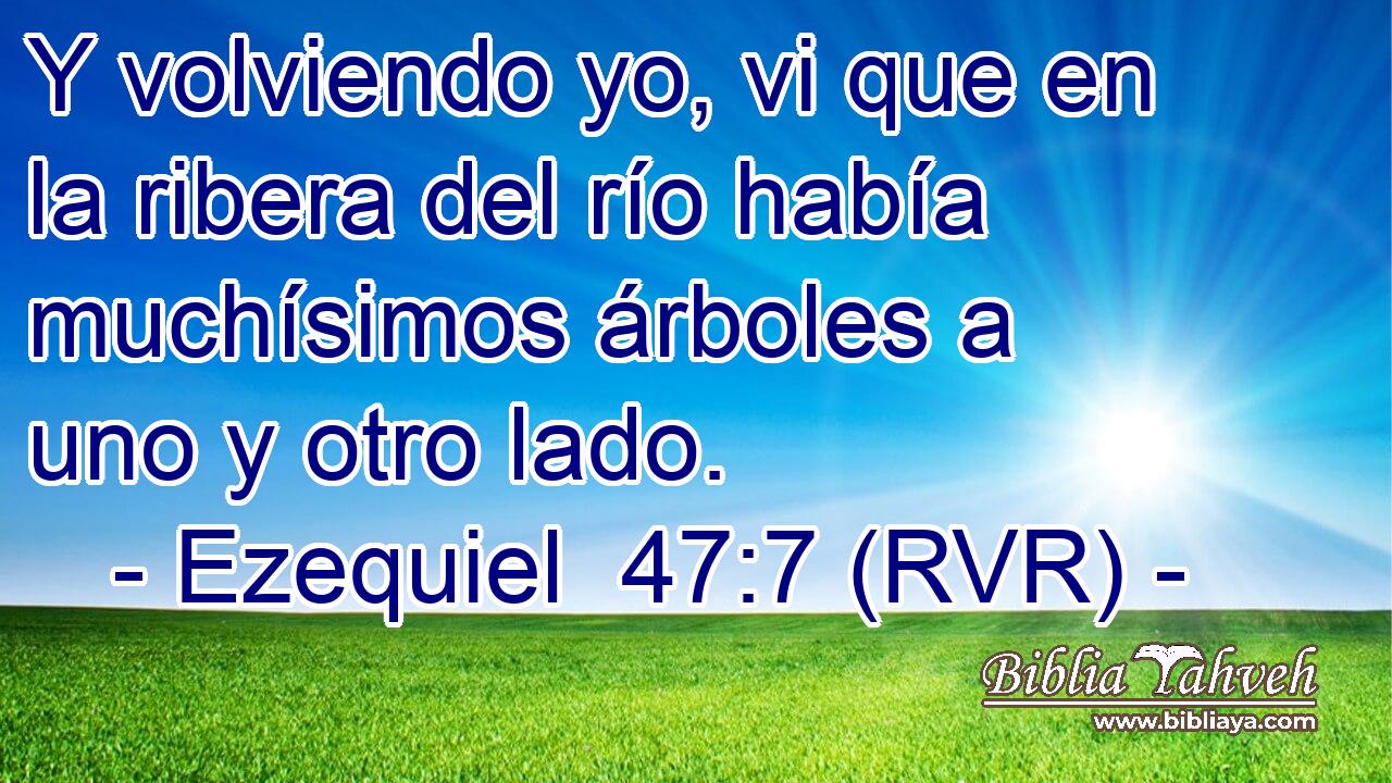 Y volviendo yo, vi que en la ribera del río había muchísimos árboles a uno y otro lado.