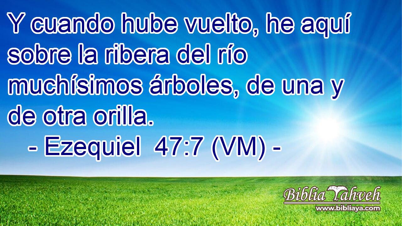  Y cuando hube vuelto, he aquí sobre la ribera del río muchísimos árboles, de una y de otra orilla. 
