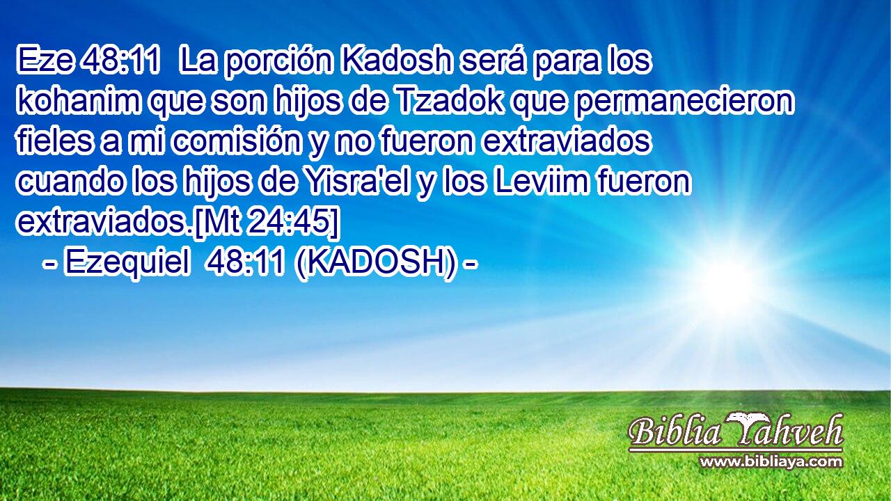  La porción Kadosh será para los kohanim que son hijos de Tzadok que permanecieron fieles a mi comisión y no fueron extraviados cuando los hijos de Yisra'el y los Leviim fueron extraviados.[Mt 24:45] 