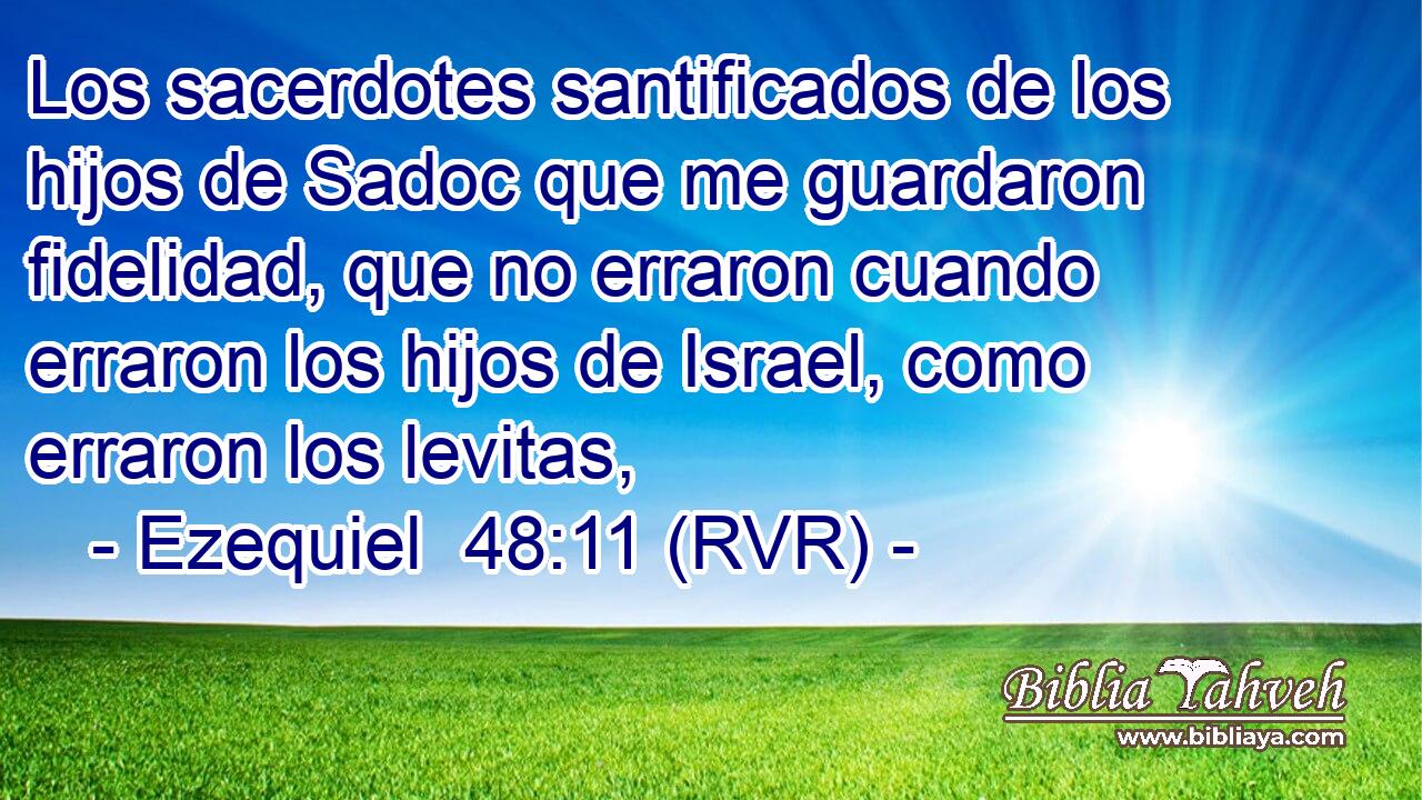 Los sacerdotes santificados de los hijos de Sadoc que me guardaron fidelidad, que no erraron cuando erraron los hijos de Israel, como erraron los levitas,