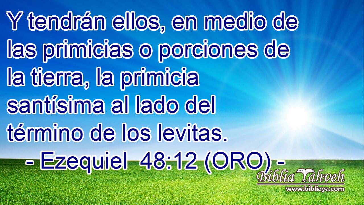  Y tendrán ellos, en medio de las primicias o porciones de la tierra, la primicia santísima al lado del término de los levitas. 
