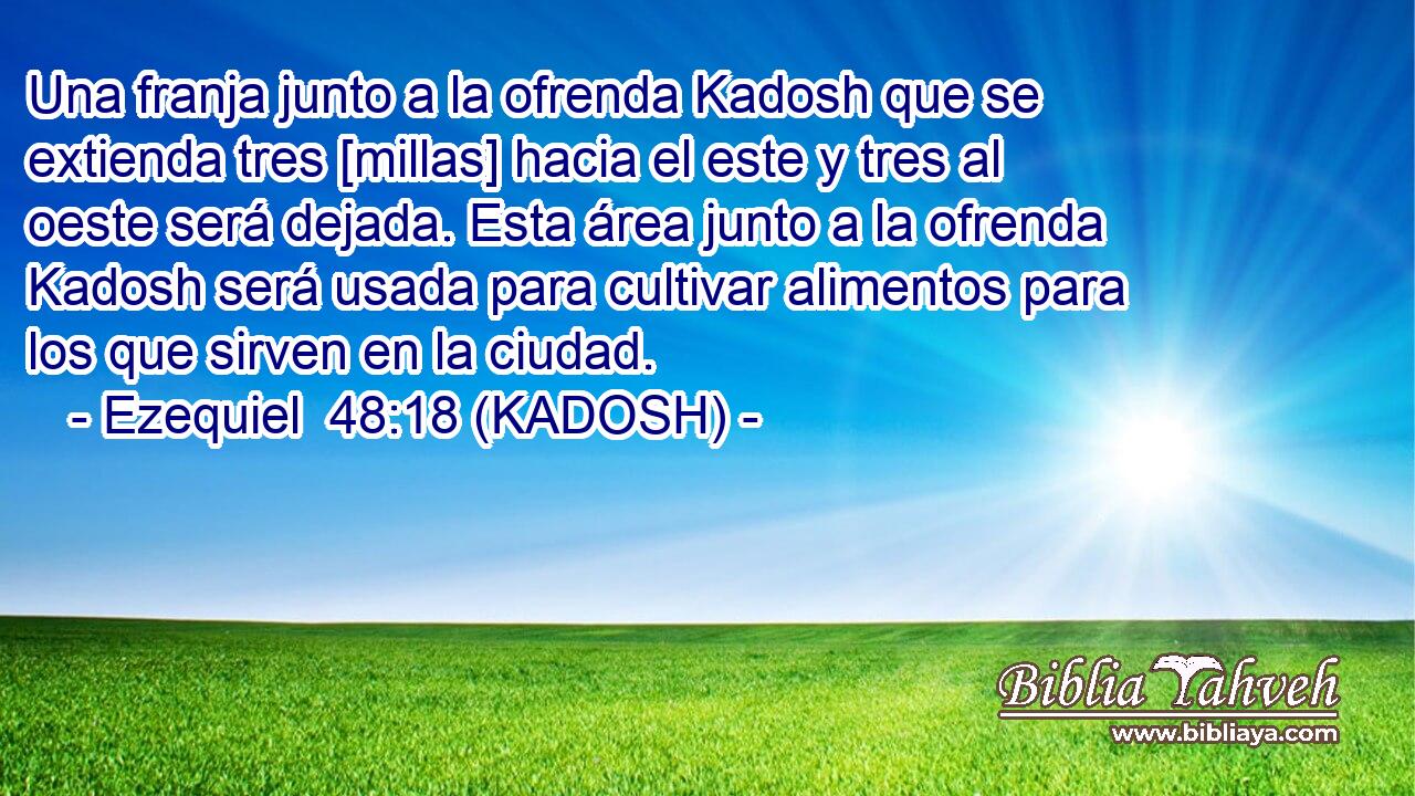  Una franja junto a la ofrenda Kadosh que se extienda tres [millas] hacia el este y tres al oeste será dejada. Esta área junto a la ofrenda Kadosh será usada para cultivar alimentos para los que sirven en la ciudad. 
