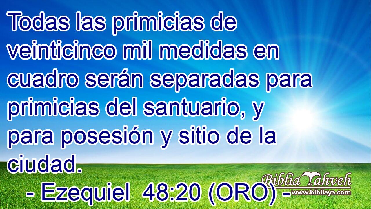  Todas las primicias de veinticinco mil medidas en cuadro serán separadas para primicias del santuario, y para posesión y sitio de la ciudad. 
