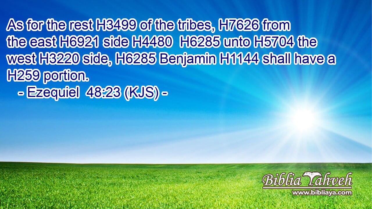 As for the rest H3499 of the tribes, H7626 from the east H6921 side H4480  H6285 unto H5704 the west H3220 side, H6285 Benjamin H1144 shall have a H259 portion.