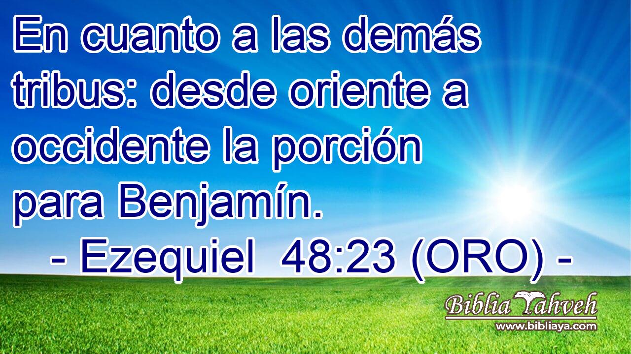  En cuanto a las demás tribus: desde oriente a occidente la porción para Benjamín. 