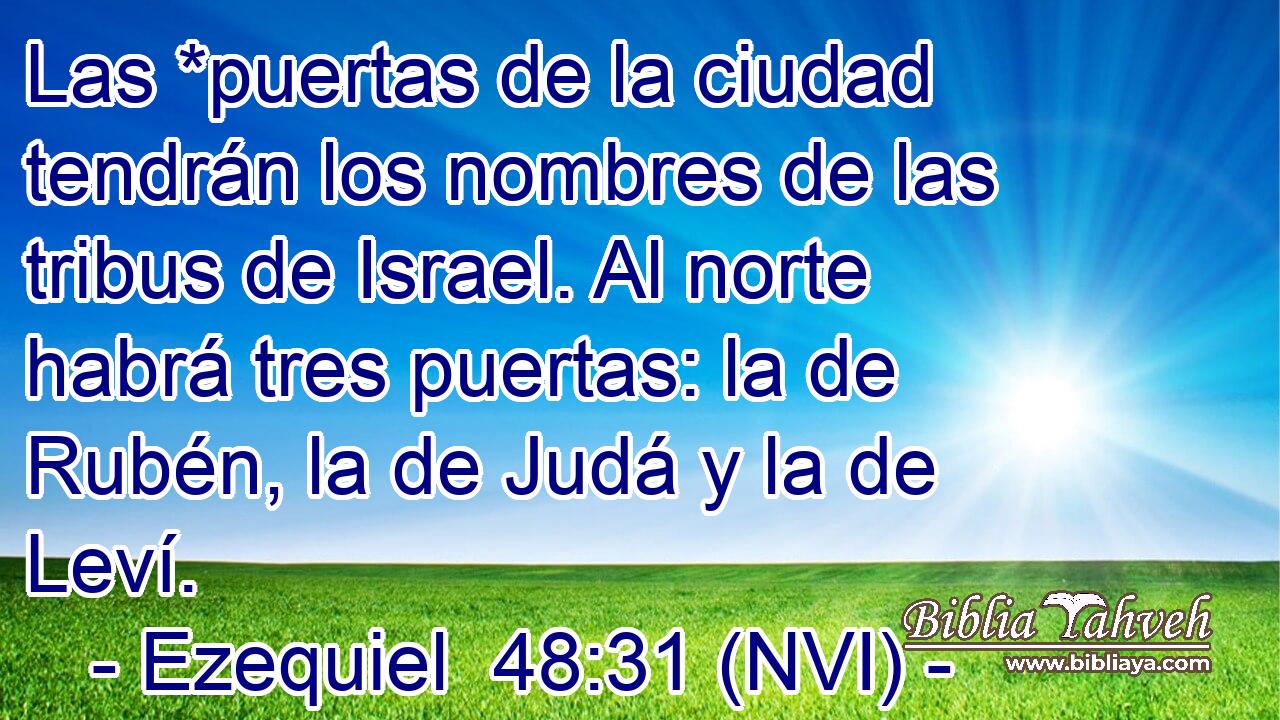  Las *puertas de la ciudad tendrán los nombres de las tribus de Israel. Al norte habrá tres puertas: la de Rubén, la de Judá y la de Leví. 