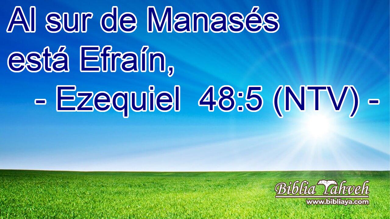 Al sur de Manasés está Efraín,