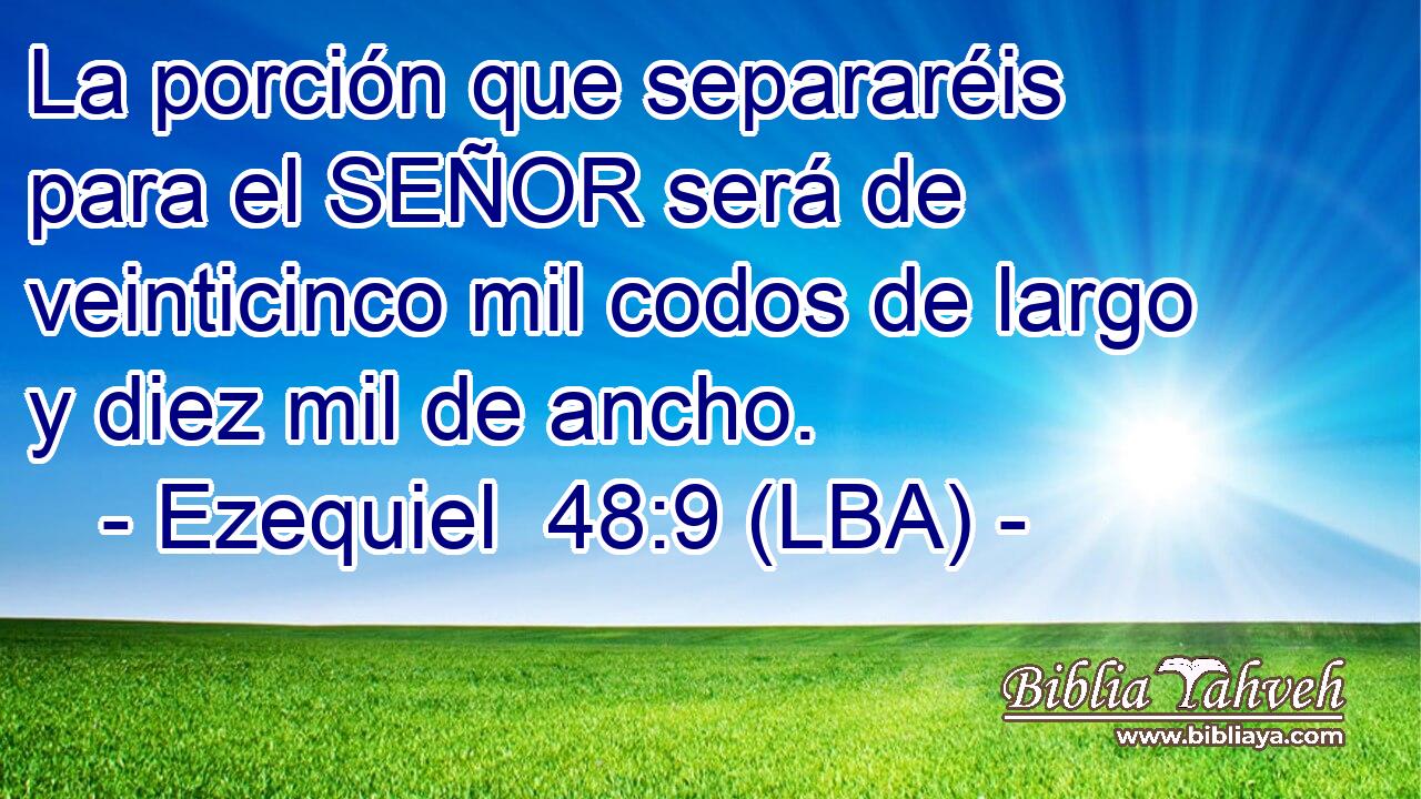 La porción que separaréis para el SEÑOR será de veinticinco mil codos de largo y diez mil de ancho.