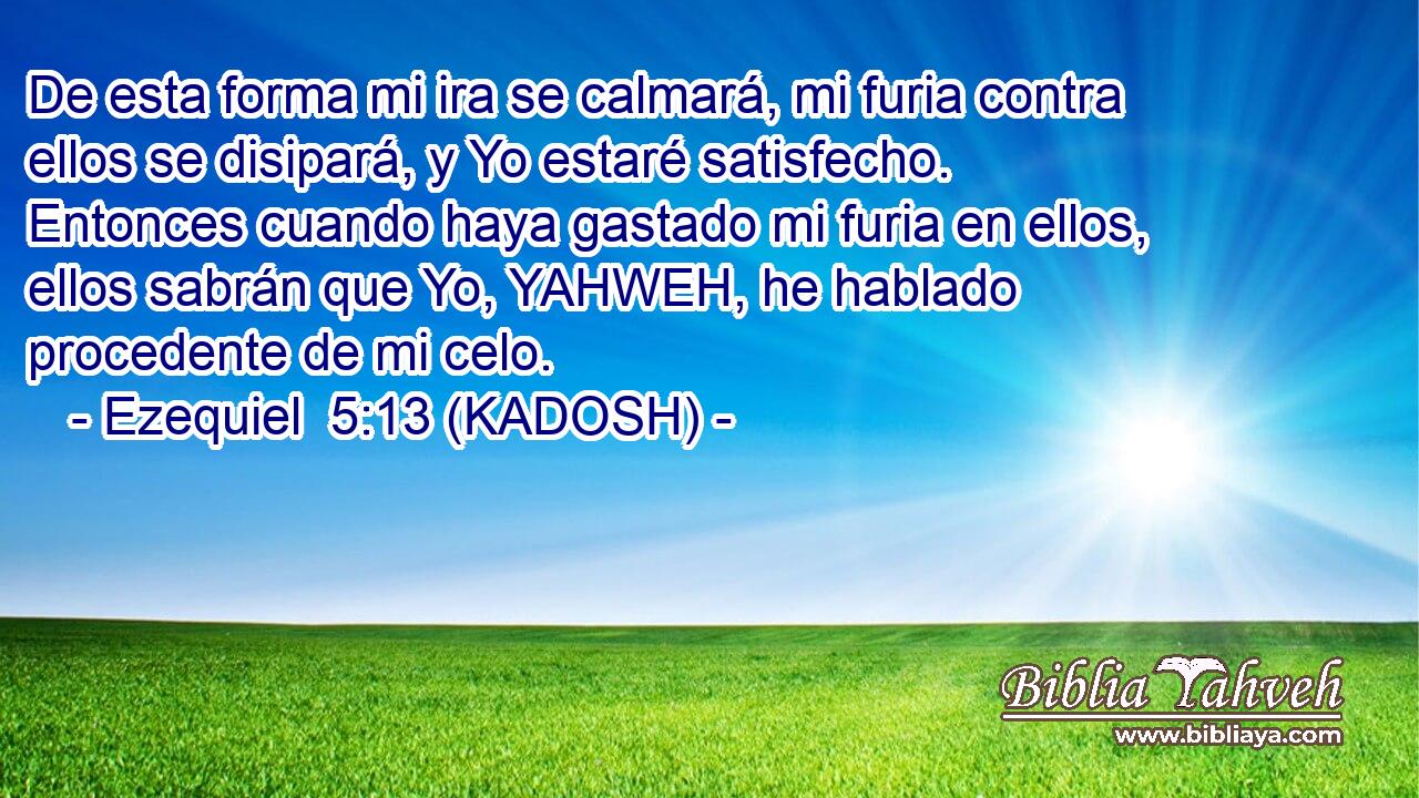  De esta forma mi ira se calmará, mi furia contra ellos se disipará, y Yo estaré satisfecho. Entonces cuando haya gastado mi furia en ellos, ellos sabrán que Yo, YAHWEH, he hablado procedente de mi celo. 