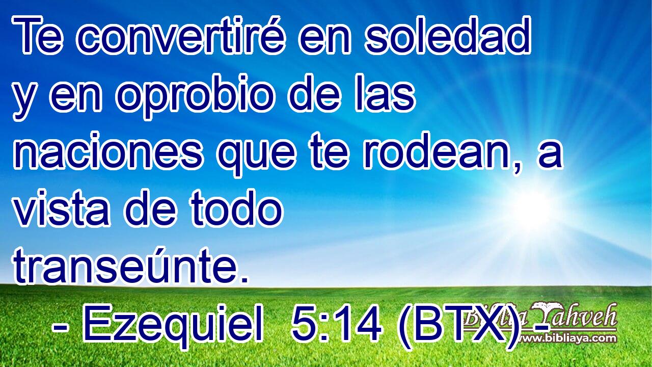 Te convertiré en soledad y en oprobio de las naciones que te rodean, a vista de todo transeúnte.