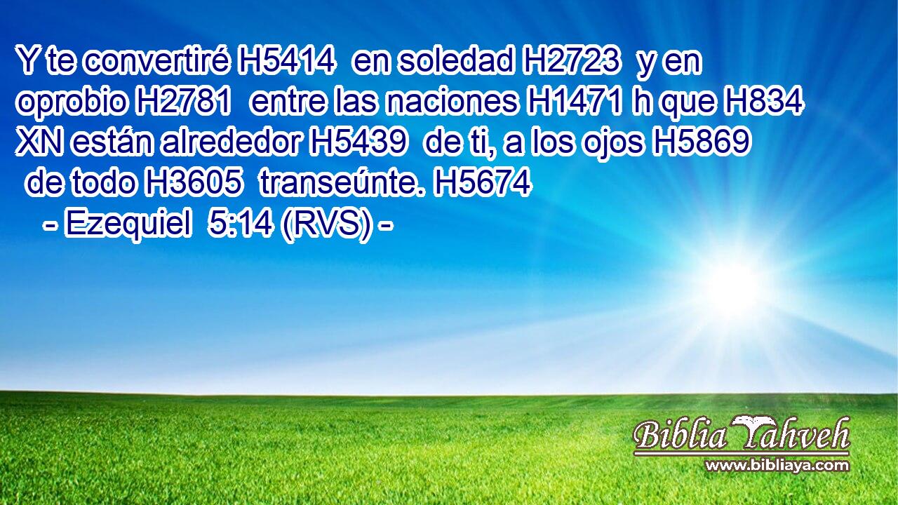 Y te convertiré H5414  en soledad H2723  y en oprobio H2781  entre las naciones H1471 h que H834 XN están alrededor H5439  de ti, a los ojos H5869  de todo H3605  transeúnte. H5674  