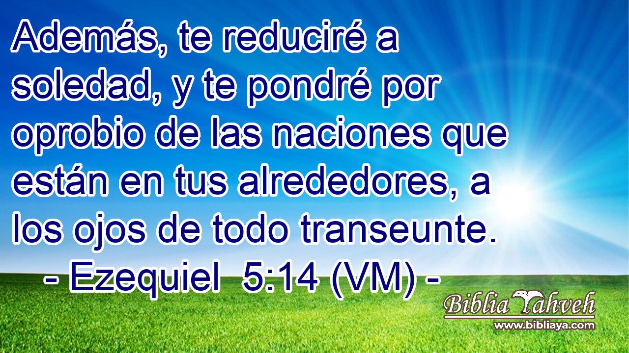  Además, te reduciré a soledad, y te pondré por oprobio de las naciones que están en tus alrededores, a los ojos de todo transeunte. 