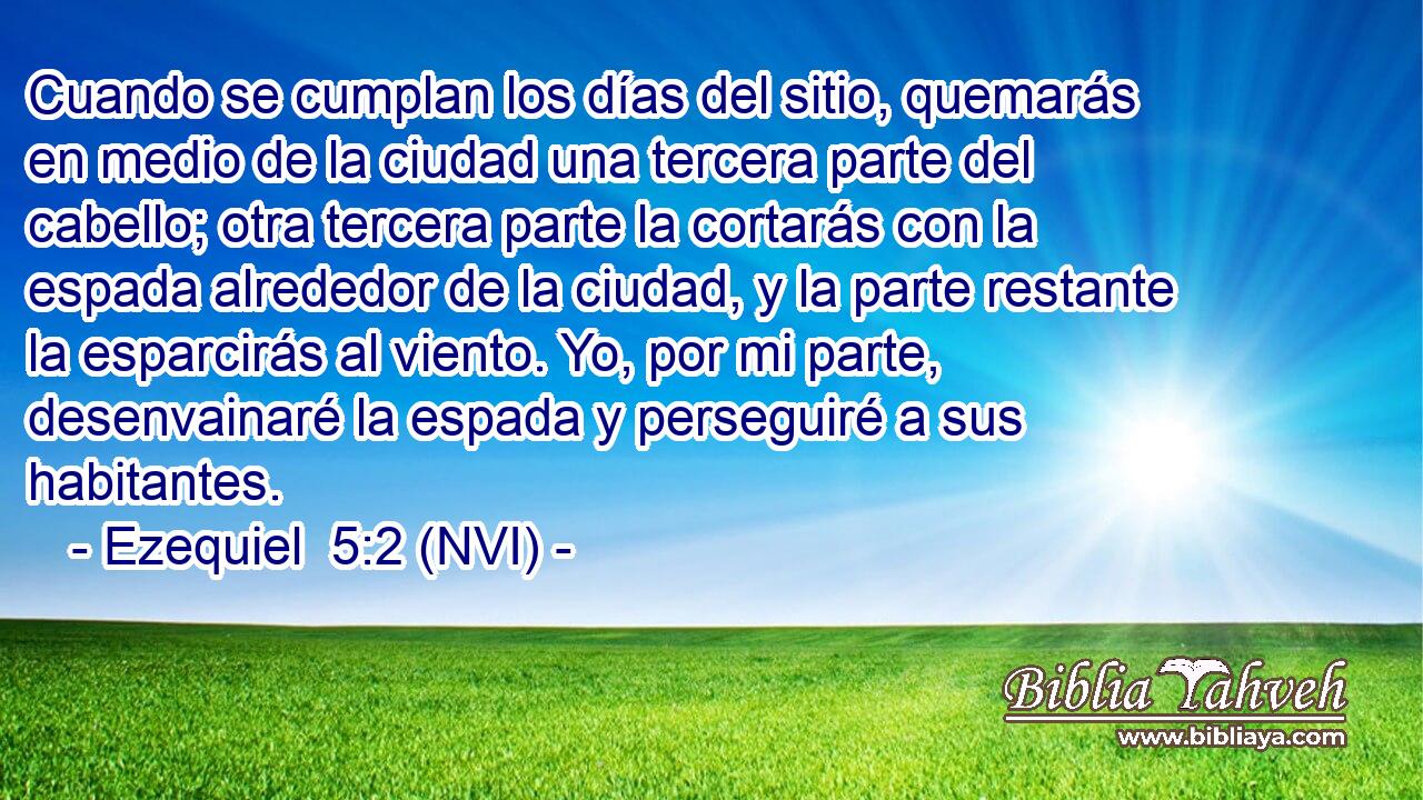  Cuando se cumplan los días del sitio, quemarás en medio de la ciudad una tercera parte del cabello; otra tercera parte la cortarás con la espada alrededor de la ciudad, y la parte restante la esparcirás al viento. Yo, por mi parte, desenvainaré la espada y perseguiré a sus habitantes. 