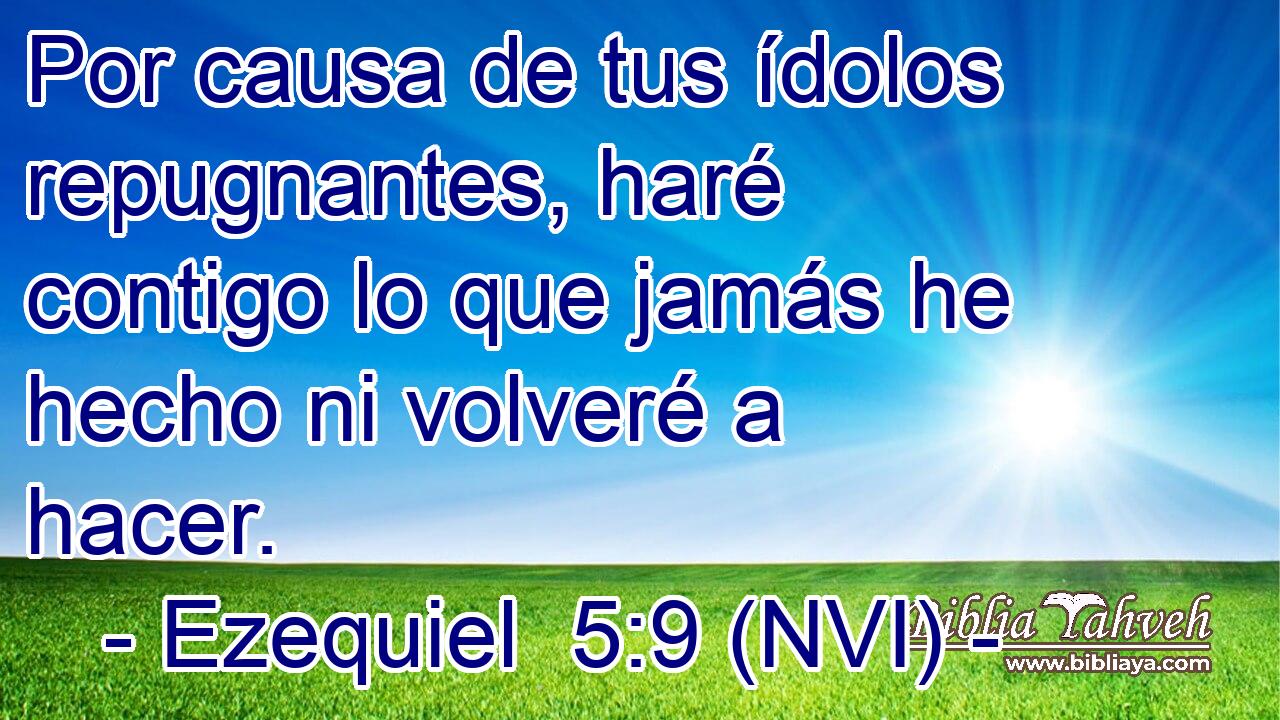 Por causa de tus ídolos repugnantes, haré contigo lo que jamás he hecho ni volveré a hacer. 