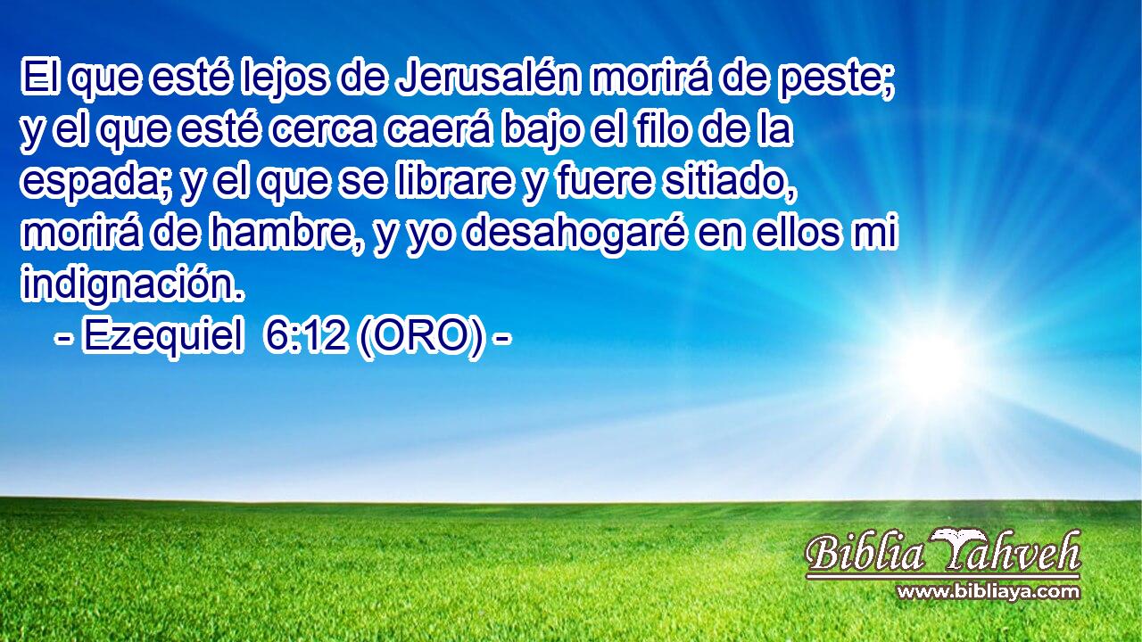  El que esté lejos de Jerusalén morirá de peste; y el que esté cerca caerá bajo el filo de la espada; y el que se librare y fuere sitiado, morirá de hambre, y yo desahogaré en ellos mi indignación. 