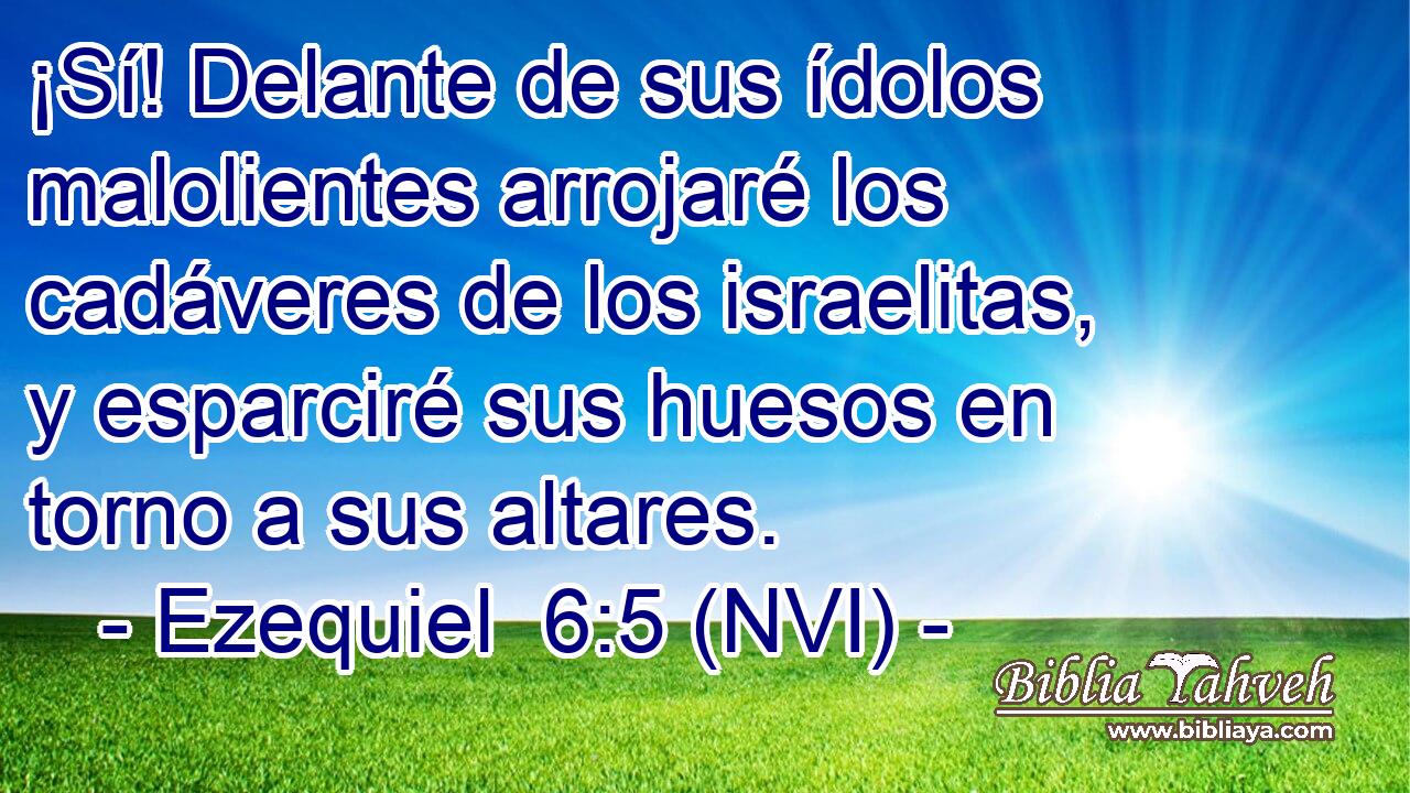  ¡Sí! Delante de sus ídolos malolientes arrojaré los cadáveres de los israelitas, y esparciré sus huesos en torno a sus altares. 