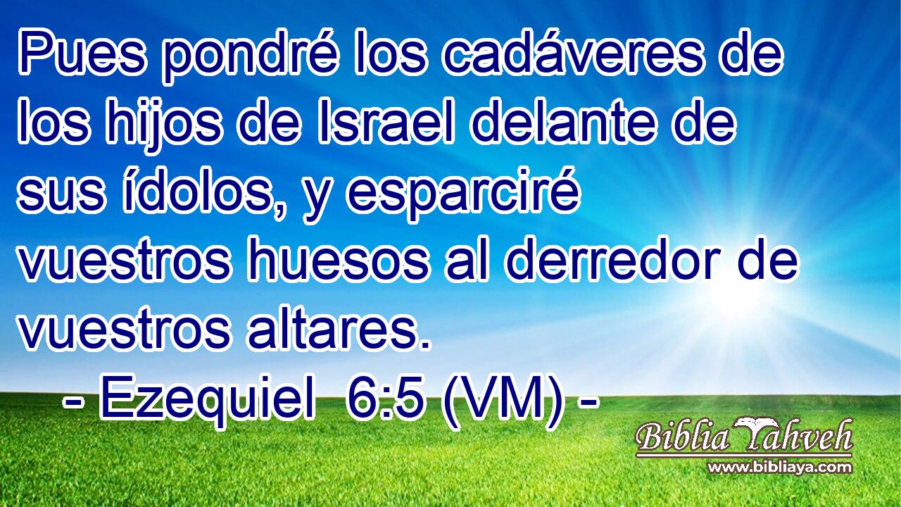  Pues pondré los cadáveres de los hijos de Israel delante de sus ídolos, y esparciré vuestros huesos al derredor de vuestros altares. 