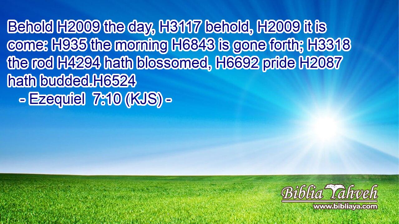 Behold H2009 the day, H3117 behold, H2009 it is come: H935 the morning H6843 is gone forth; H3318 the rod H4294 hath blossomed, H6692 pride H2087 hath budded.H6524