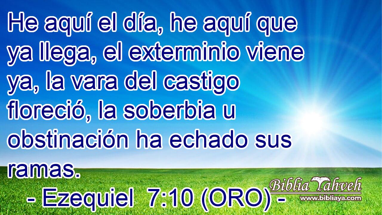  He aquí el día, he aquí que ya llega, el exterminio viene ya, la vara del castigo floreció, la soberbia u obstinación ha echado sus ramas. 