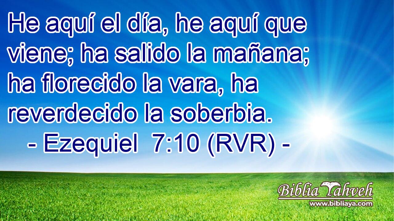 He aquí el día, he aquí que viene; ha salido la mañana; ha florecido la vara, ha reverdecido la soberbia.