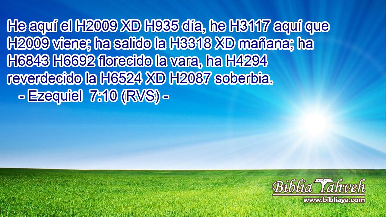He aquí el H2009 XD H935 día, he H3117 aquí que H2009 viene; ha salido la H3318 XD mañana; ha H6843 H6692 florecido la vara, ha H4294 reverdecido la H6524 XD H2087 soberbia. 