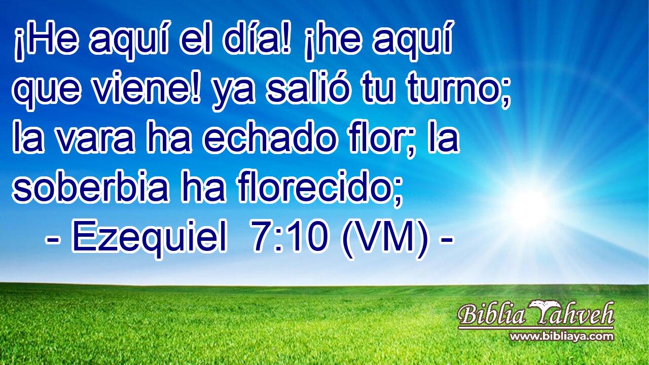  ¡He aquí el día! ¡he aquí que viene! ya salió tu turno; la vara ha echado flor; la soberbia ha florecido; 