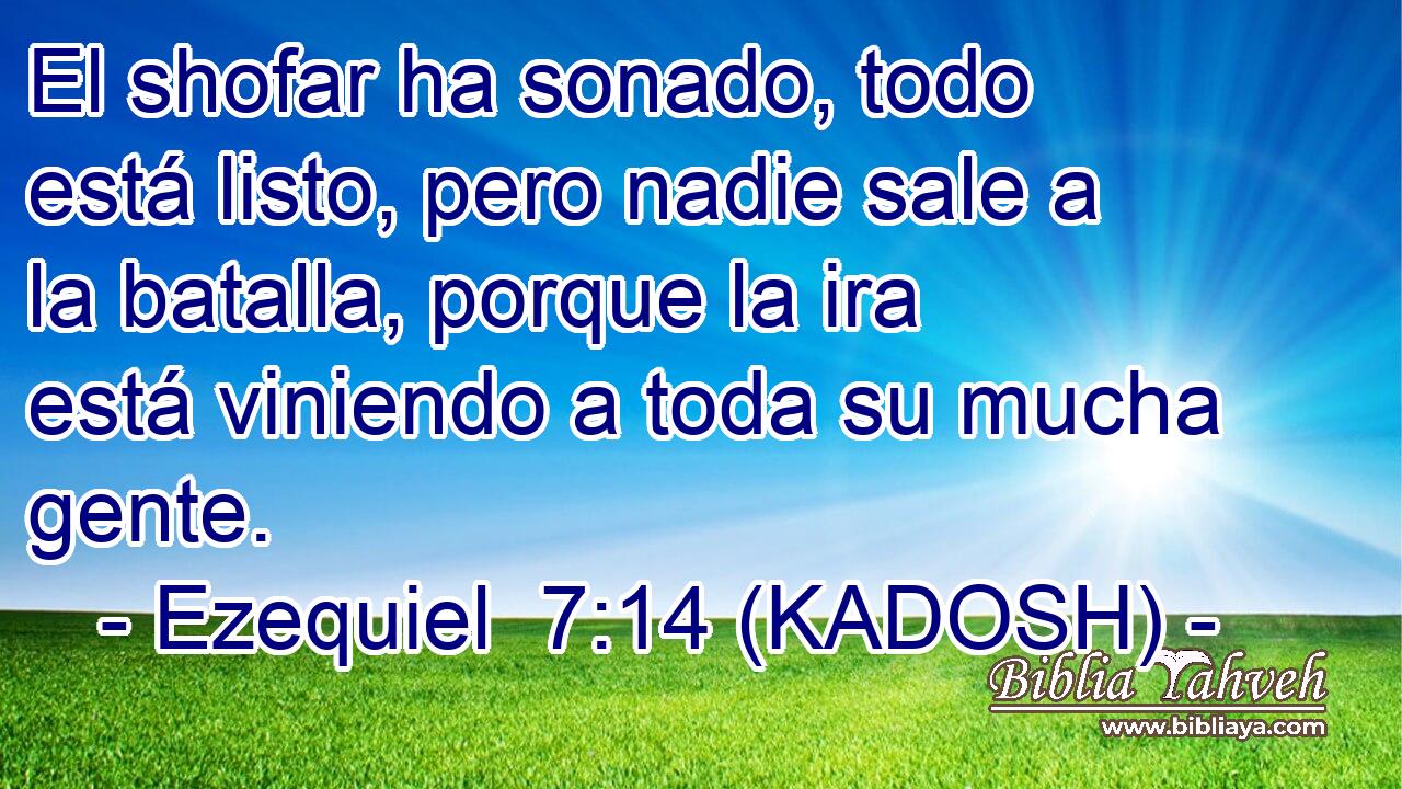  El shofar ha sonado, todo está listo, pero nadie sale a la batalla, porque la ira está viniendo a toda su mucha gente. 