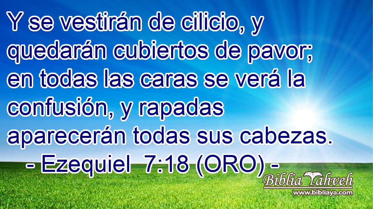  Y se vestirán de cilicio, y quedarán cubiertos de pavor; en todas las caras se verá la confusión, y rapadas aparecerán todas sus cabezas. 