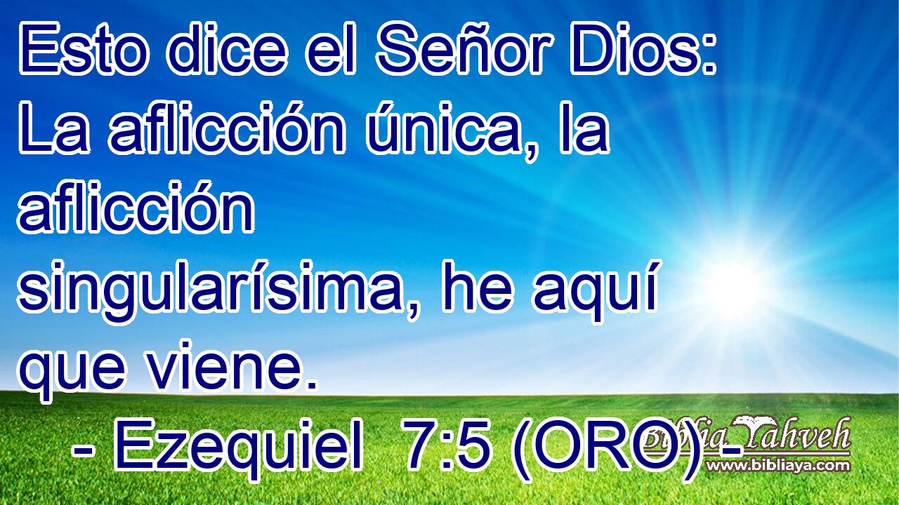  Esto dice el Señor Dios: La aflicción única, la aflicción singularísima, he aquí que viene. 