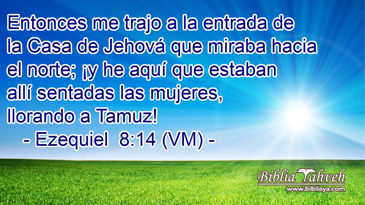  Entonces me trajo a la entrada de la Casa de Jehová que miraba hacia el norte; ¡y he aquí que estaban allí sentadas las mujeres, llorando a Tamuz! 