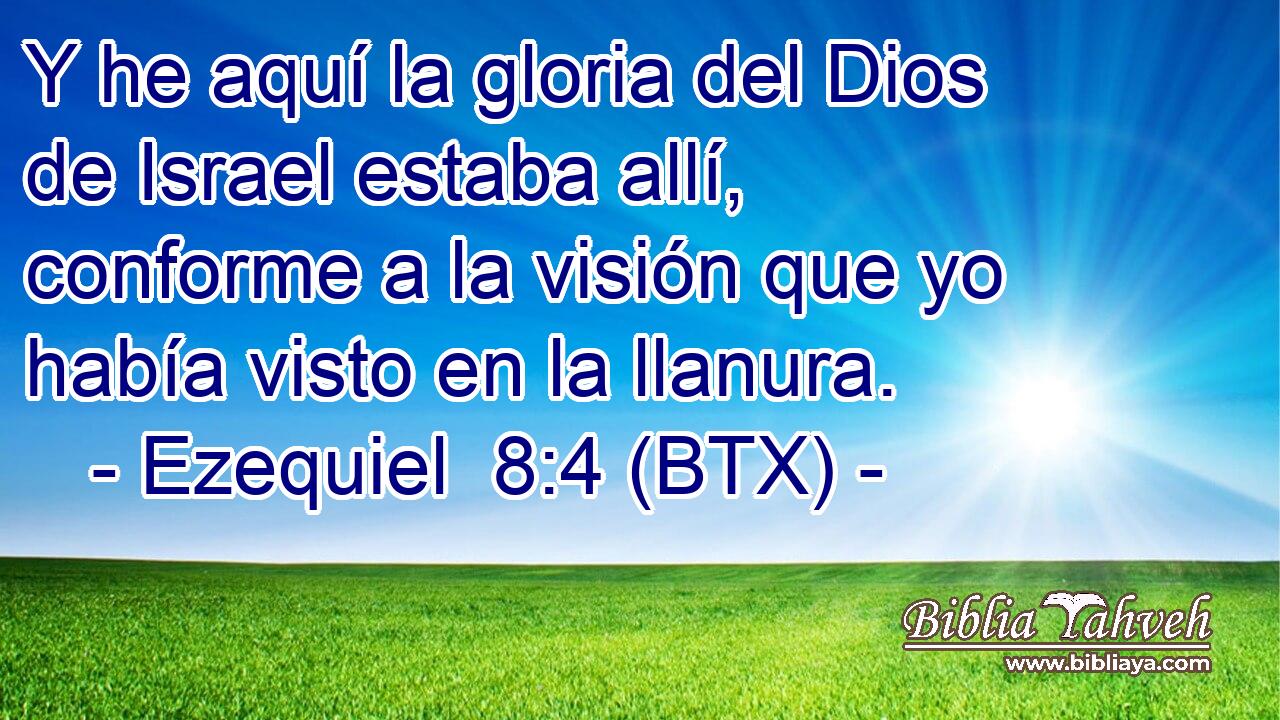 Y he aquí la gloria del Dios de Israel estaba allí, conforme a la visión que yo había visto en la llanura.