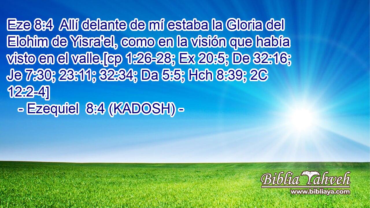  Allí delante de mí estaba la Gloria del Elohim de Yisra'el, como en la visión que había visto en el valle.[cp 1:26-28; Ex 20:5; De 32:16; Je 7:30; 23:11; 32:34; Da 5:5; Hch 8:39; 2C 12:2-4] 