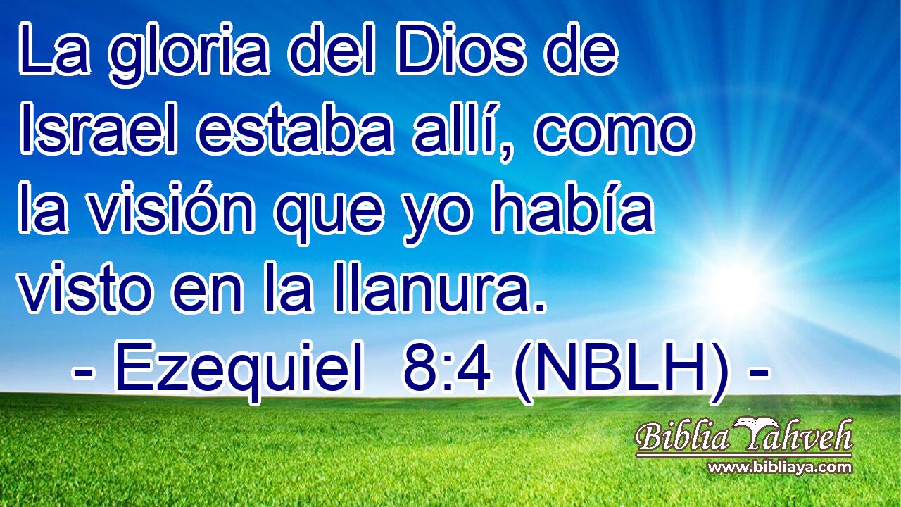  La gloria del Dios de Israel estaba allí, como la visión que yo había visto en la llanura. 